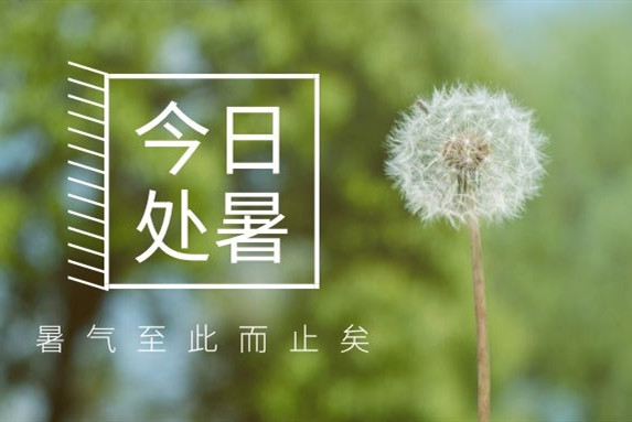 【衡陽(yáng)通用電纜】處暑不是暑，秋涼知我意